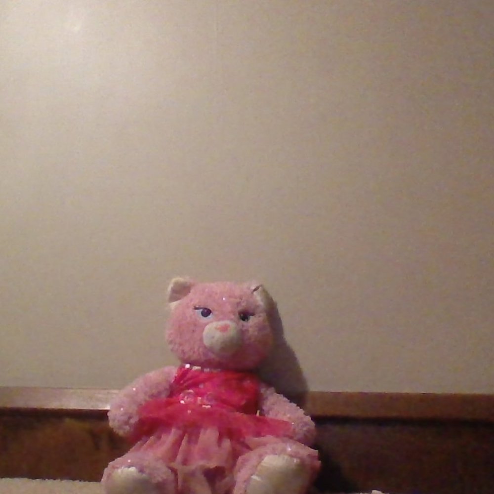 stuffed cat